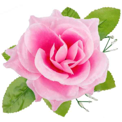 Róża w pąku - główka z liściem Pink
